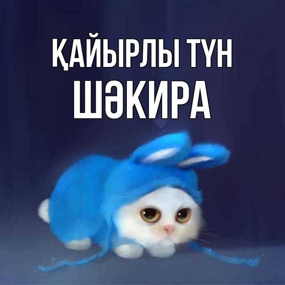 Күн сайын ашық хат с именем, ШӘКИРА Қайырлы түн кот в голубом костюме кролика с ушками Онлайн тегін жүктеп алу тілектері бар керемет карта 