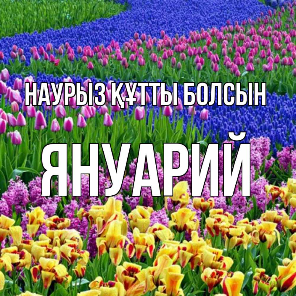 Күн сайын ашық хат с именем, Януарий Наурыз құтты болсын цветы Онлайн тегін жүктеп алу тілектері бар керемет карта 