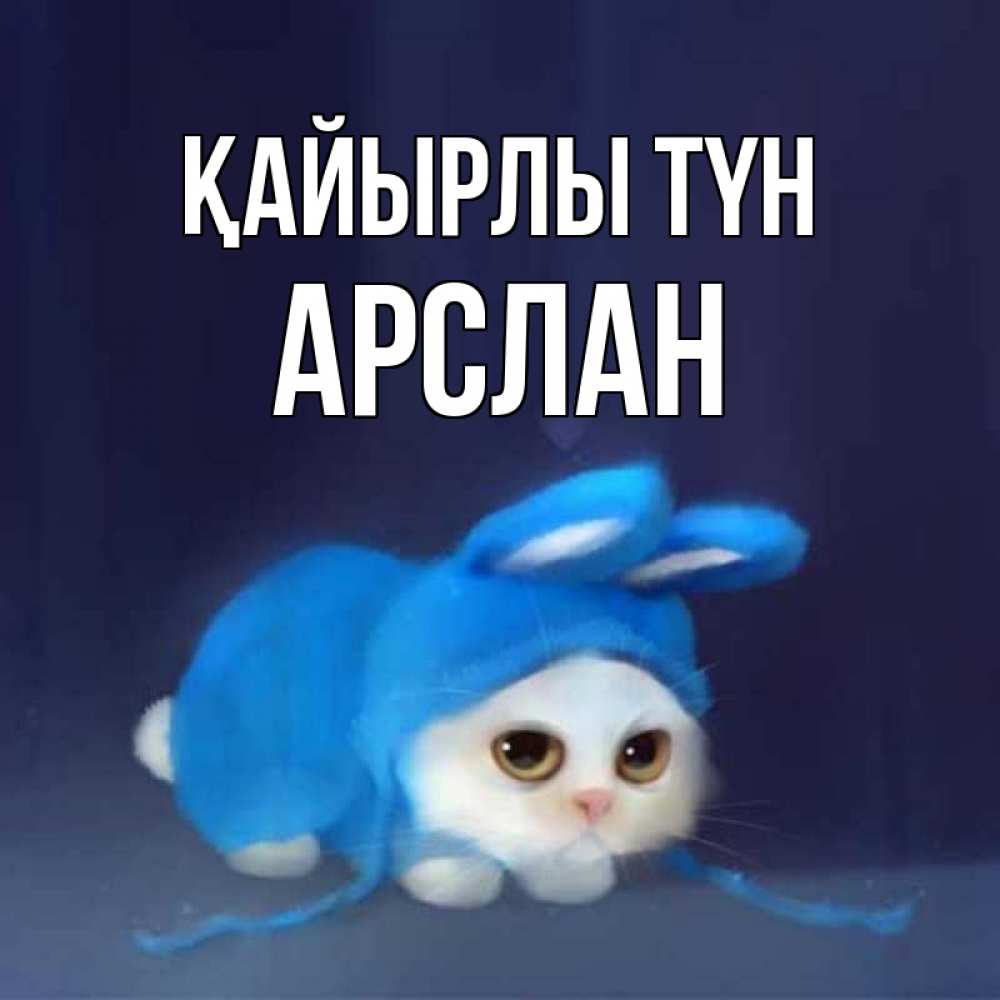 Күн сайын ашық хат с именем, Арслан Қайырлы түн кот в голубом костюме кролика с ушками Онлайн тегін жүктеп алу тілектері бар керемет карта 