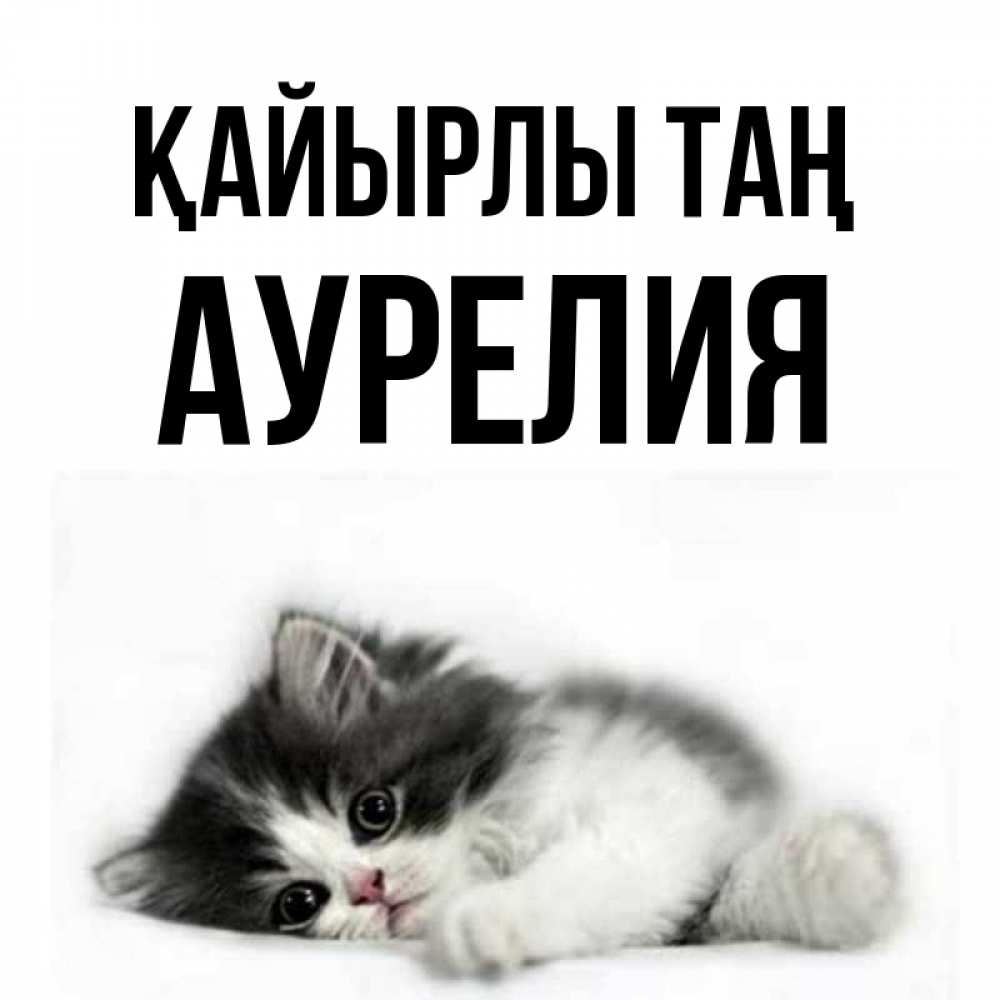 Күн сайын ашық хат с именем, Аурелия Қайырлы таң кот лапки Онлайн тегін жүктеп алу тілектері бар керемет карта 