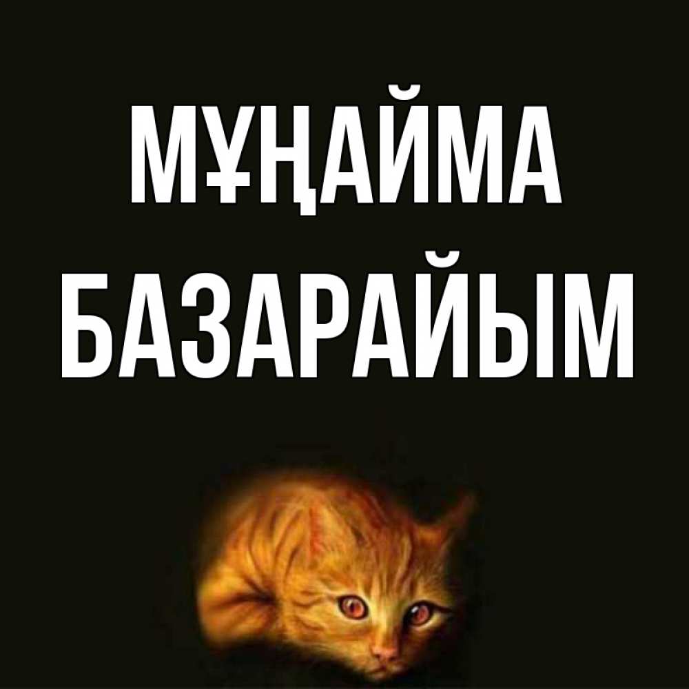 Күн сайын ашық хат с именем, БАЗАРАЙЫМ Мұңайма лежащий кот в темноте Онлайн тегін жүктеп алу тілектері бар керемет карта 