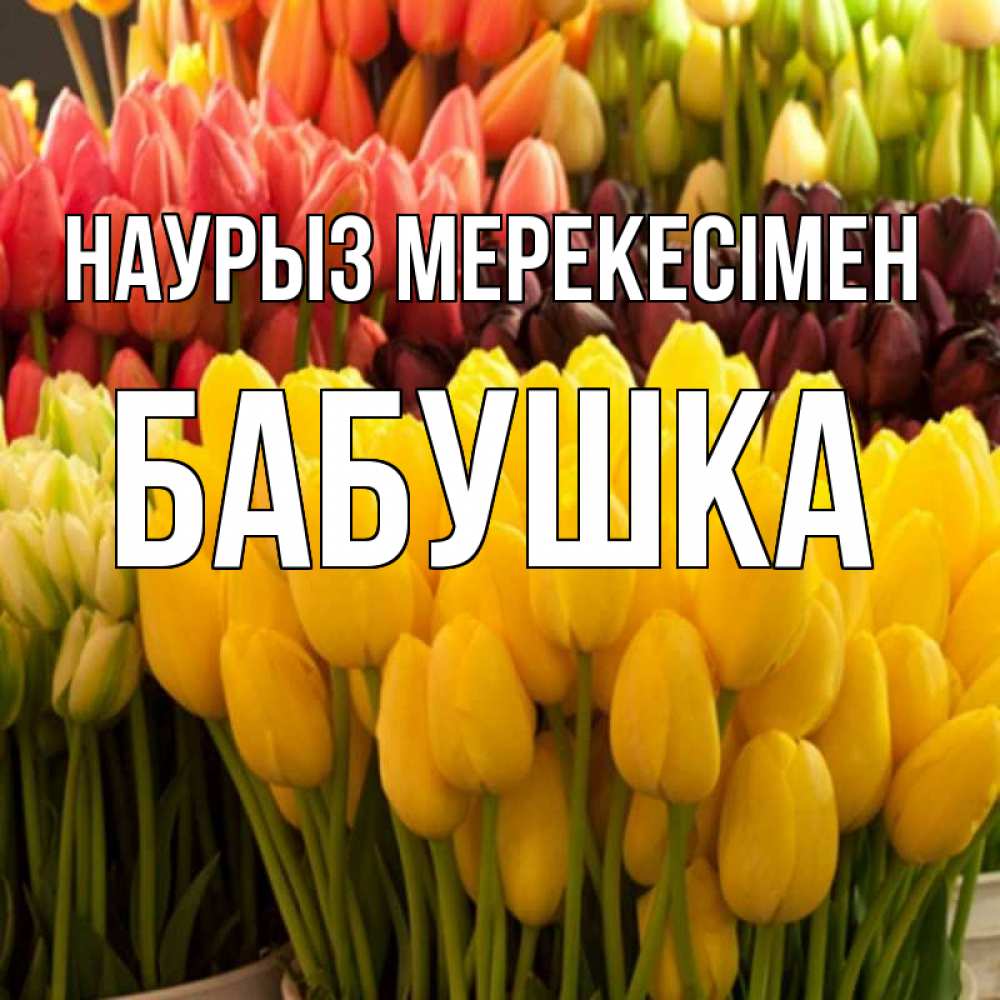 Күн сайын ашық хат с именем, Бабушка Наурыз мерекесімен цветы Онлайн тегін жүктеп алу тілектері бар керемет карта 
