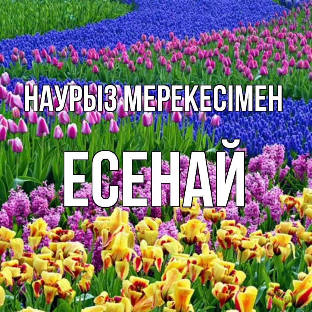 Күн сайын ашық хат с именем, Есенай Наурыз мерекесімен цветы Онлайн тегін жүктеп алу тілектері бар керемет карта 