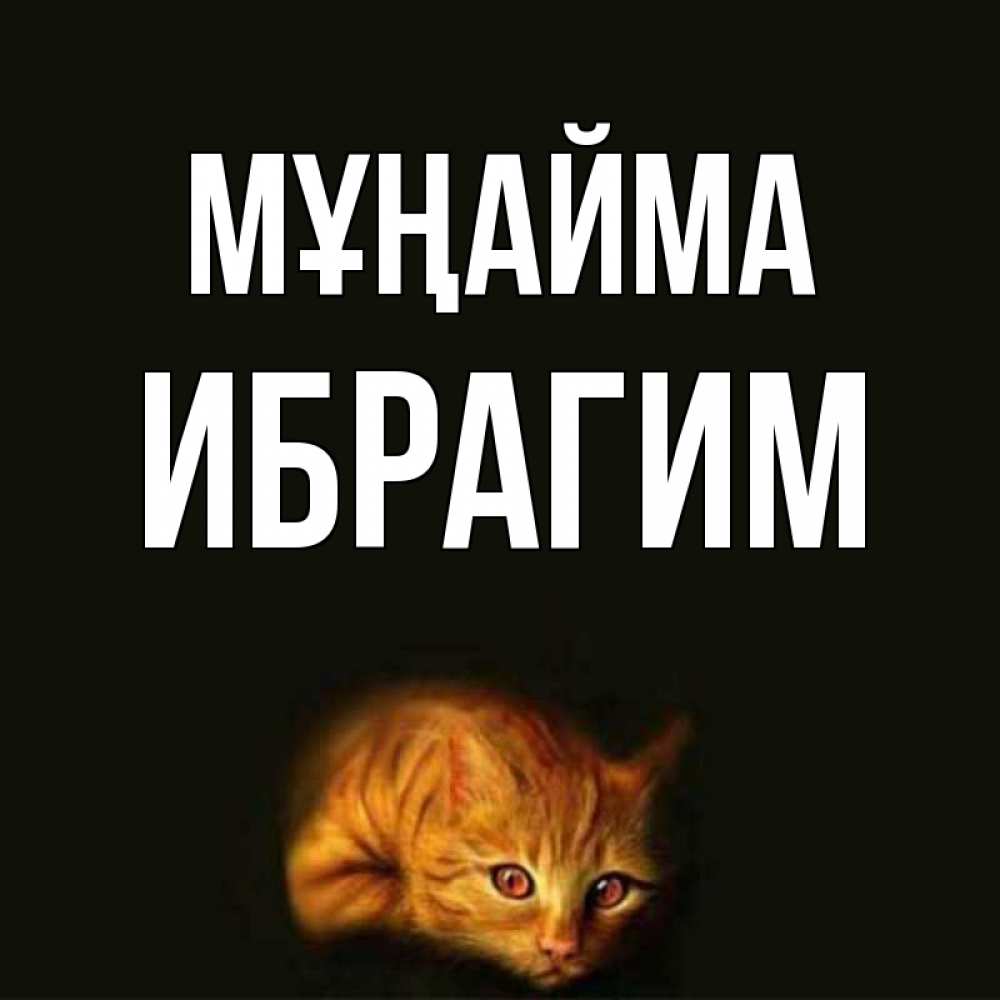 Күн сайын ашық хат с именем, Ибрагим Мұңайма лежащий кот в темноте Онлайн тегін жүктеп алу тілектері бар керемет карта 