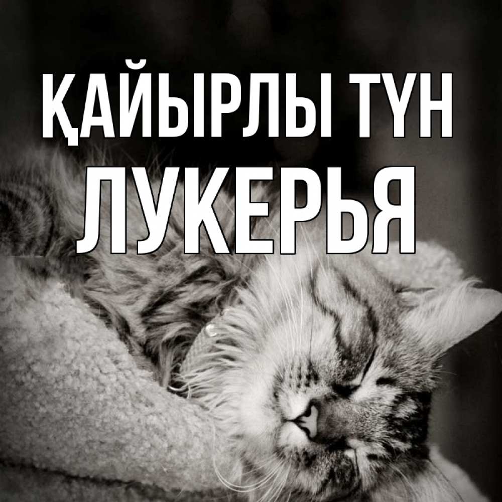 Күн сайын ашық хат с именем, Лукерья Қайырлы түн котярик пушистый Онлайн тегін жүктеп алу тілектері бар керемет карта 