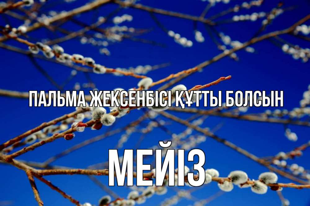 Күн сайын ашық хат с именем, МЕЙІЗ Пальма жексенбісі құтты болсын верба Онлайн тегін жүктеп алу тілектері бар керемет карта 
