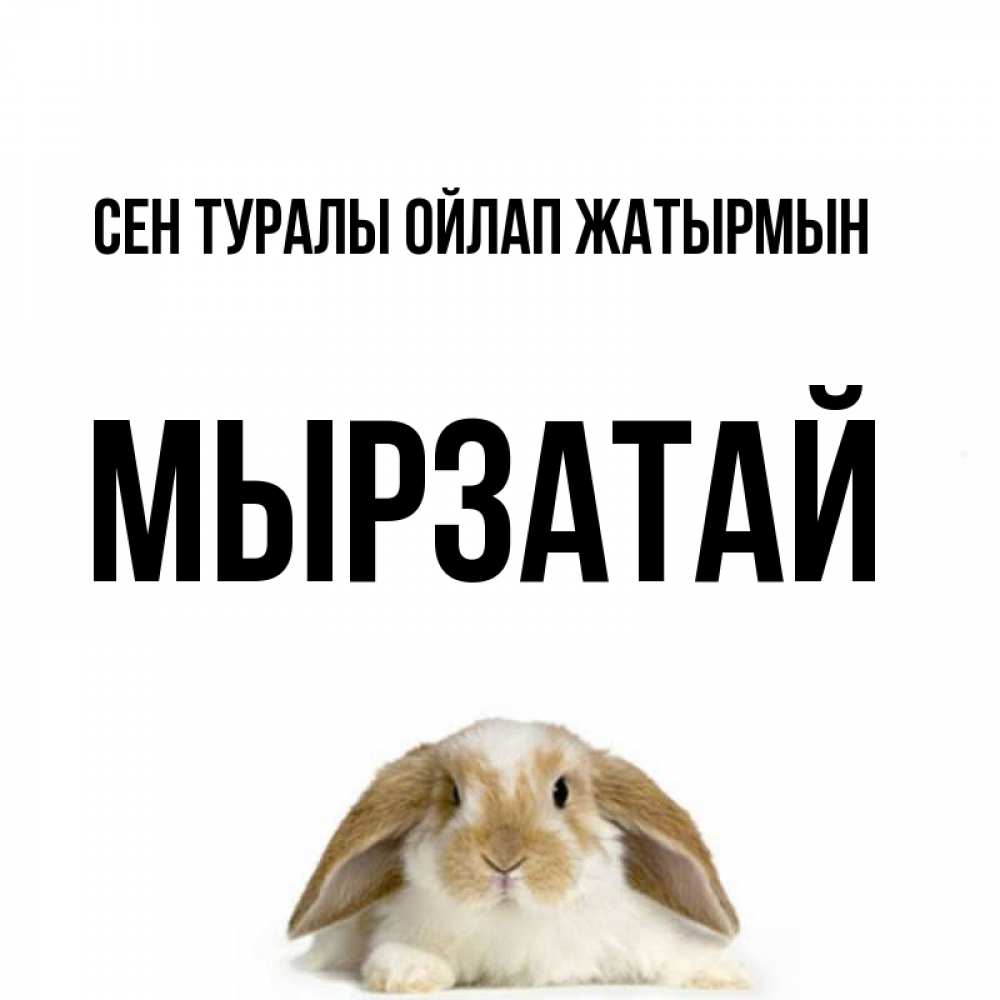 Күн сайын ашық хат с именем, Мырзатай Сен туралы ойлап жатырмын подписать своими руками онлайн Онлайн тегін жүктеп алу тілектері бар керемет карта 