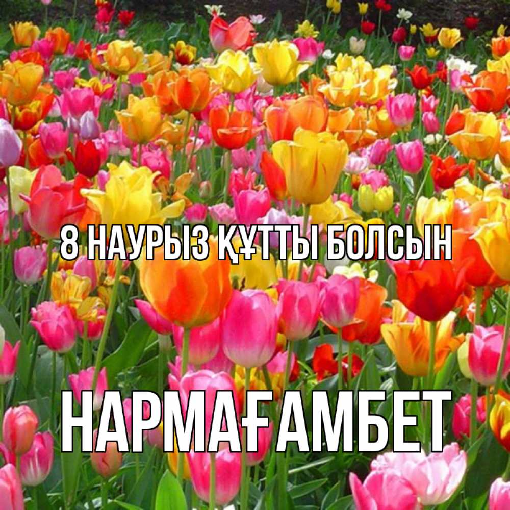 Күн сайын ашық хат с именем, НАРМАҒАМБЕТ 8 наурыз құтты болсын на международный женский день Онлайн тегін жүктеп алу тілектері бар керемет карта 