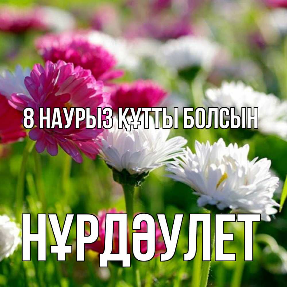 Күн сайын ашық хат с именем, НҰРДӘУЛЕТ 8 наурыз құтты болсын международный женский день 1 Онлайн тегін жүктеп алу тілектері бар керемет карта 