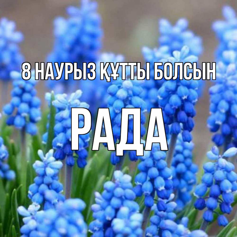 Күн сайын ашық хат с именем, Рада 8 наурыз құтты болсын Поздравительная открытка для женщин с цветами на праздничную дату Онлайн тегін жүктеп алу тілектері бар керемет карта 