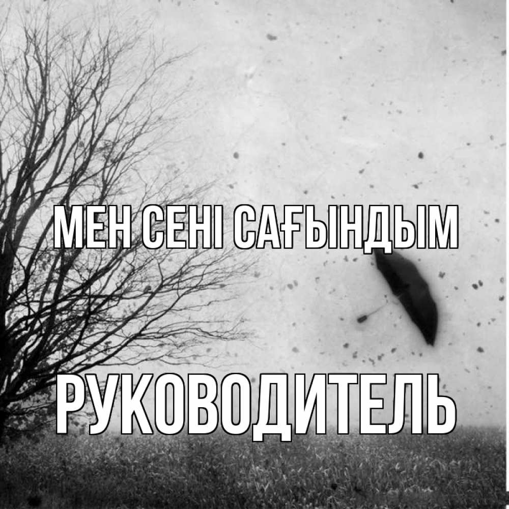 Күн сайын ашық хат с именем, Руководитель Мен сені сағындым зонт летит Онлайн тегін жүктеп алу тілектері бар керемет карта 