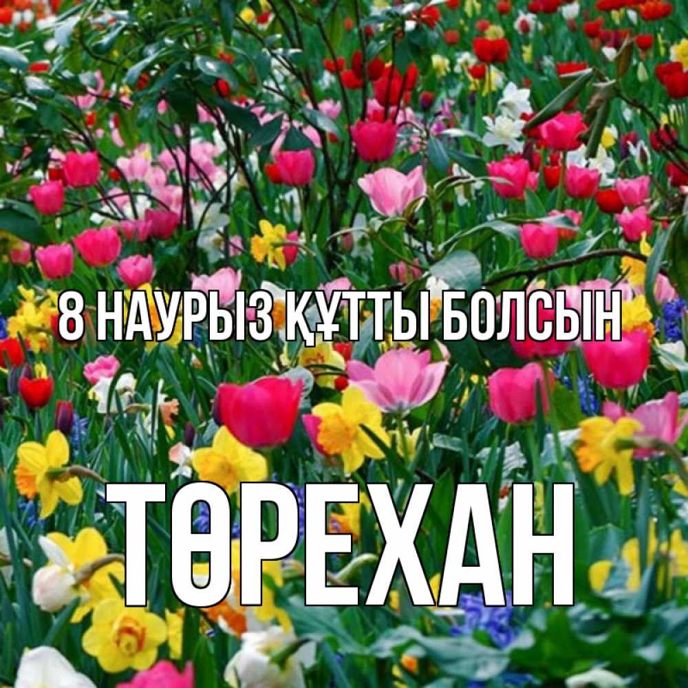 Күн сайын ашық хат с именем, Төрехан 8 наурыз құтты болсын с международным женским днем поздравления для женщины Онлайн тегін жүктеп алу тілектері бар керемет карта 