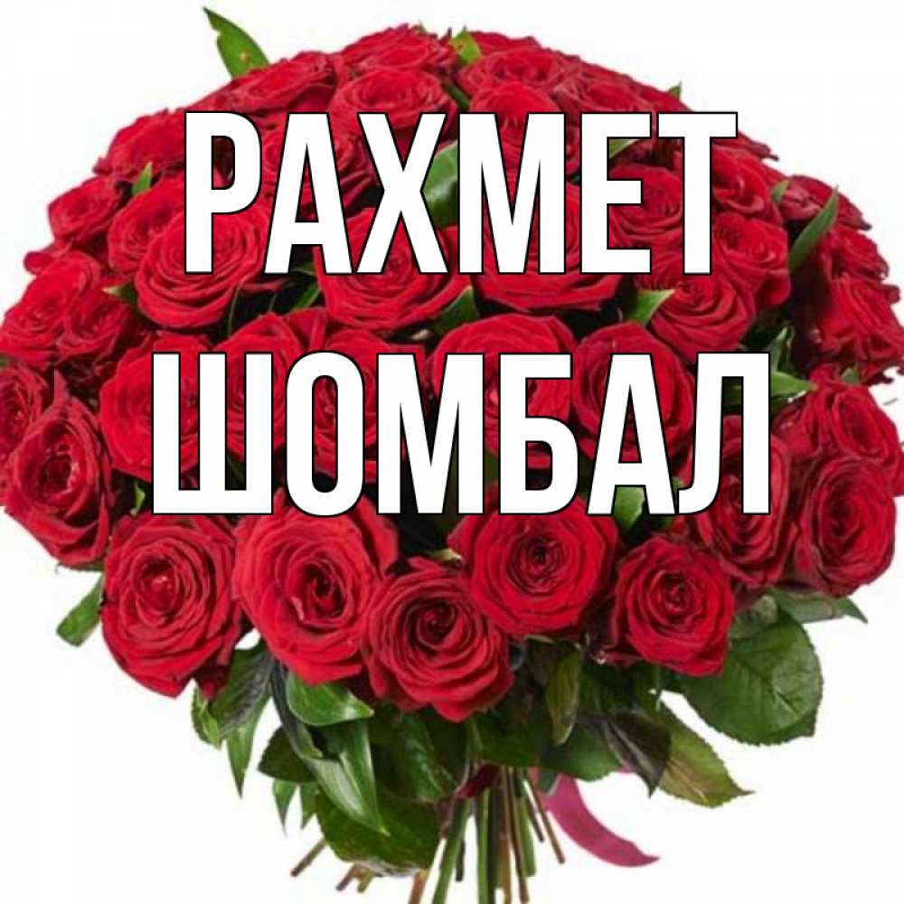 Күн сайын ашық хат с именем, ШОМБАЛ рахмет букет красных роз Онлайн тегін жүктеп алу тілектері бар керемет карта 