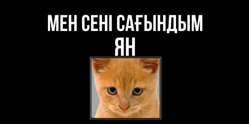 Күн сайын ашық хат с именем, Ян Мен сені сағындым открытки рыжий котенок скучает по тебе Онлайн тегін жүктеп алу тілектері бар керемет карта 