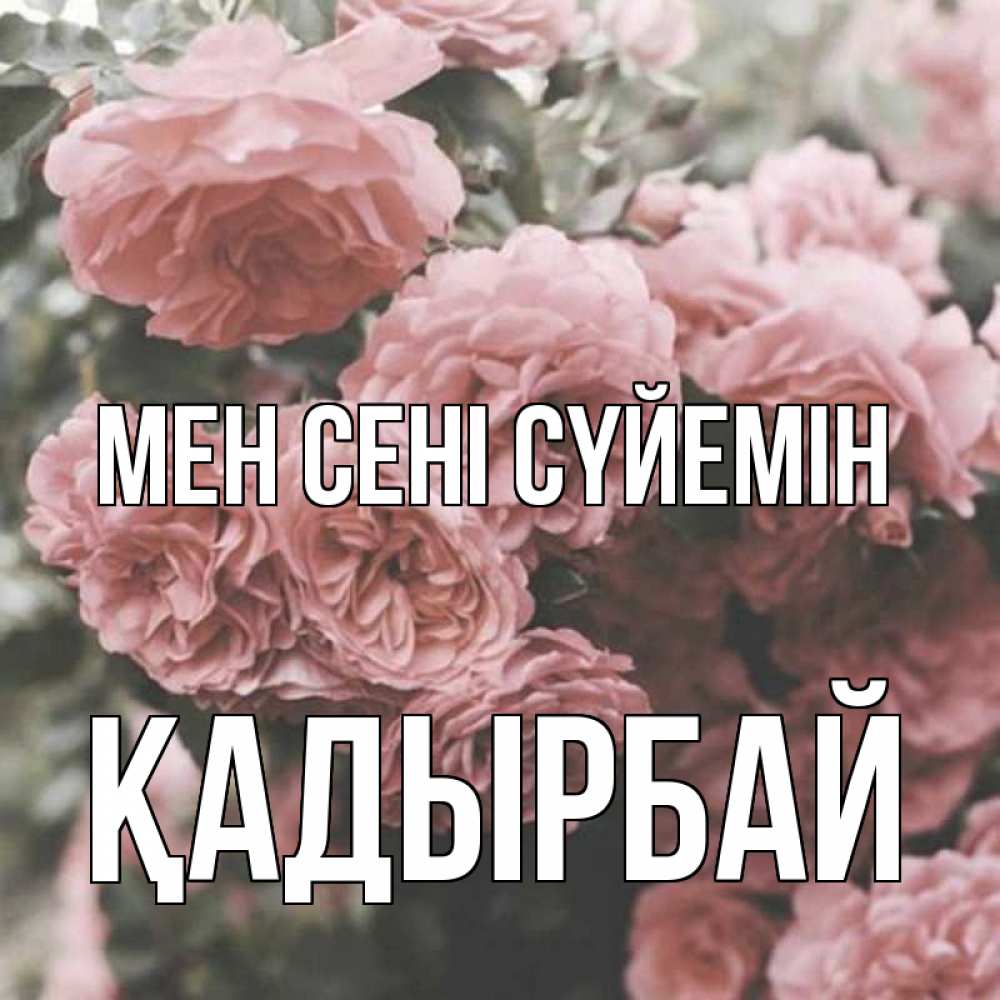 Күн сайын ашық хат с именем, Қадырбай Мен сені сүйемін розы 3 Онлайн тегін жүктеп алу тілектері бар керемет карта 