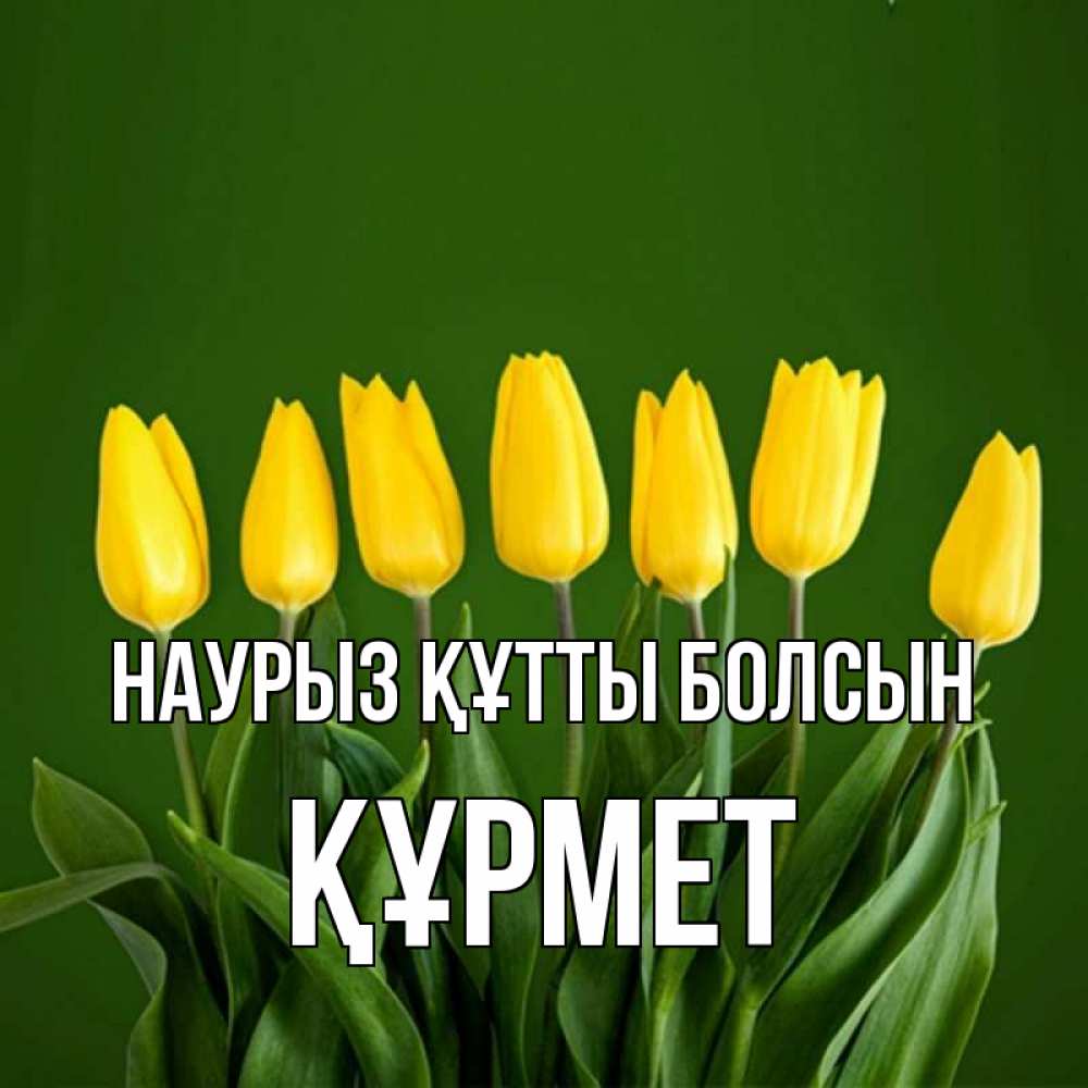 Күн сайын ашық хат с именем, ҚҰРМЕТ Наурыз құтты болсын желтого цвета 3 Онлайн тегін жүктеп алу тілектері бар керемет карта 