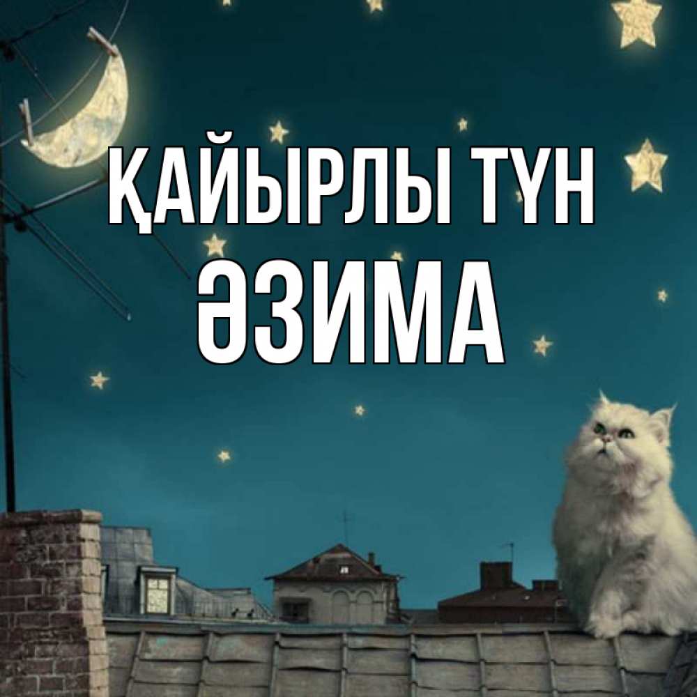 Күн сайын ашық хат с именем, ӘЗИМА Қайырлы түн белый кот сидит на крыше Онлайн тегін жүктеп алу тілектері бар керемет карта 