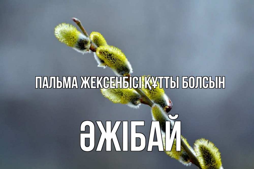 Күн сайын ашық хат с именем, Әжібай Пальма жексенбісі құтты болсын верба Онлайн тегін жүктеп алу тілектері бар керемет карта 