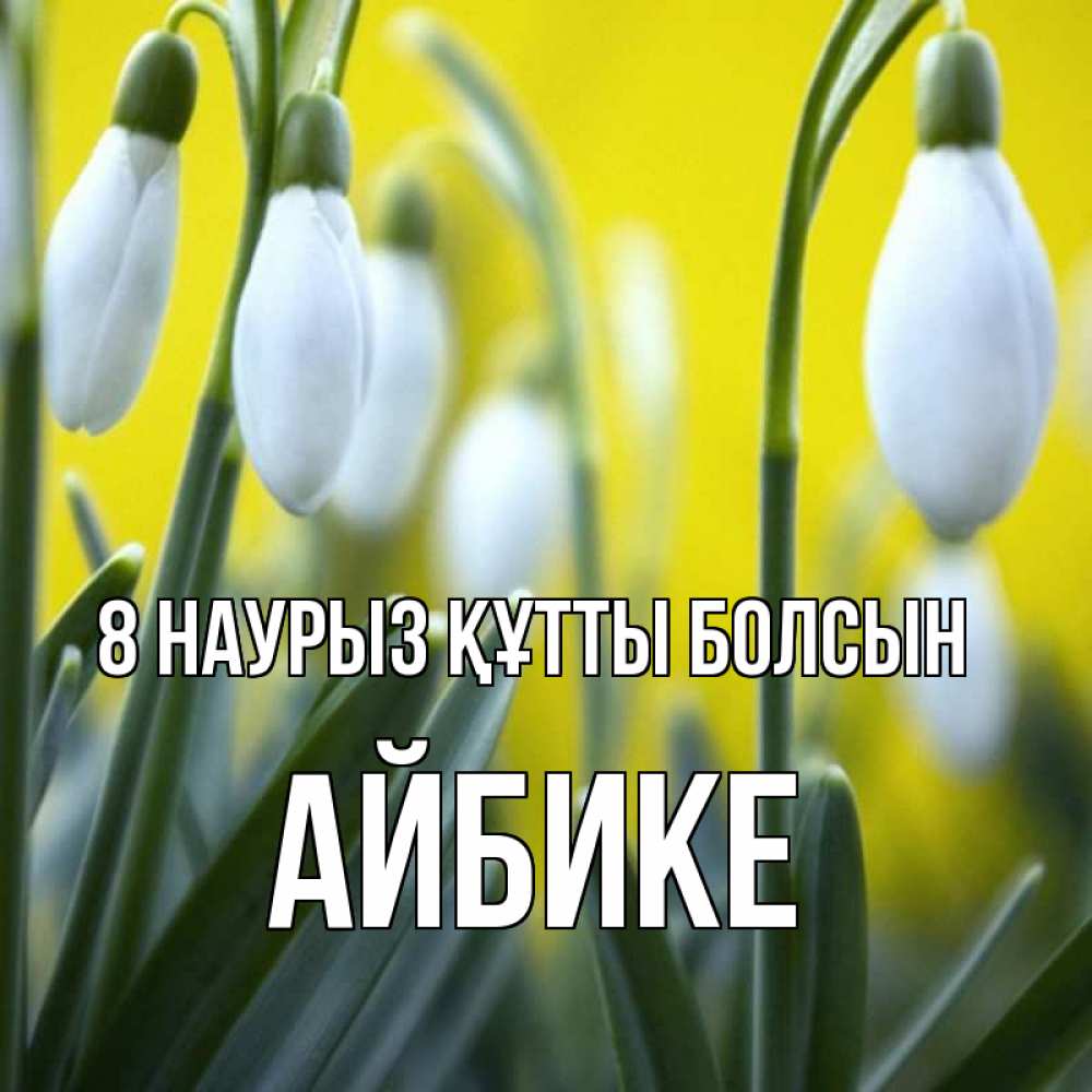 Күн сайын ашық хат с именем, АЙБИКЕ 8 наурыз құтты болсын весенние цветы Онлайн тегін жүктеп алу тілектері бар керемет карта 