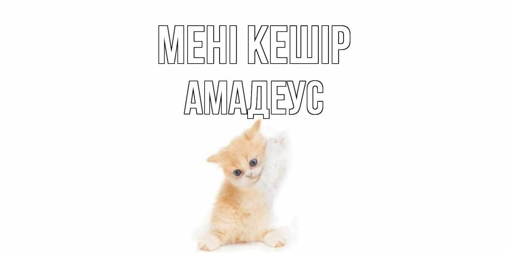 Күн сайын ашық хат с именем, Амадеус Мені кешір кот Онлайн тегін жүктеп алу тілектері бар керемет карта 