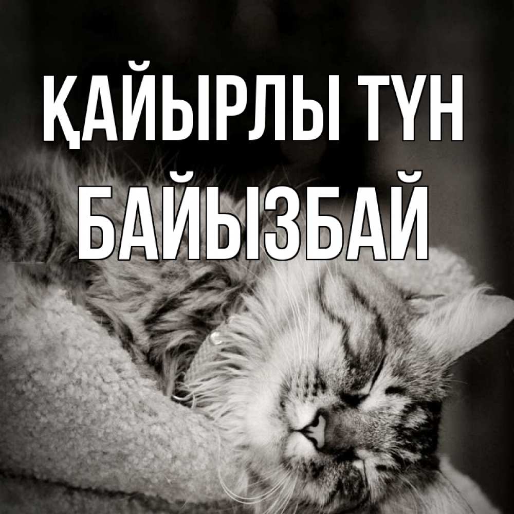 Күн сайын ашық хат с именем, Байызбай Қайырлы түн котярик пушистый Онлайн тегін жүктеп алу тілектері бар керемет карта 