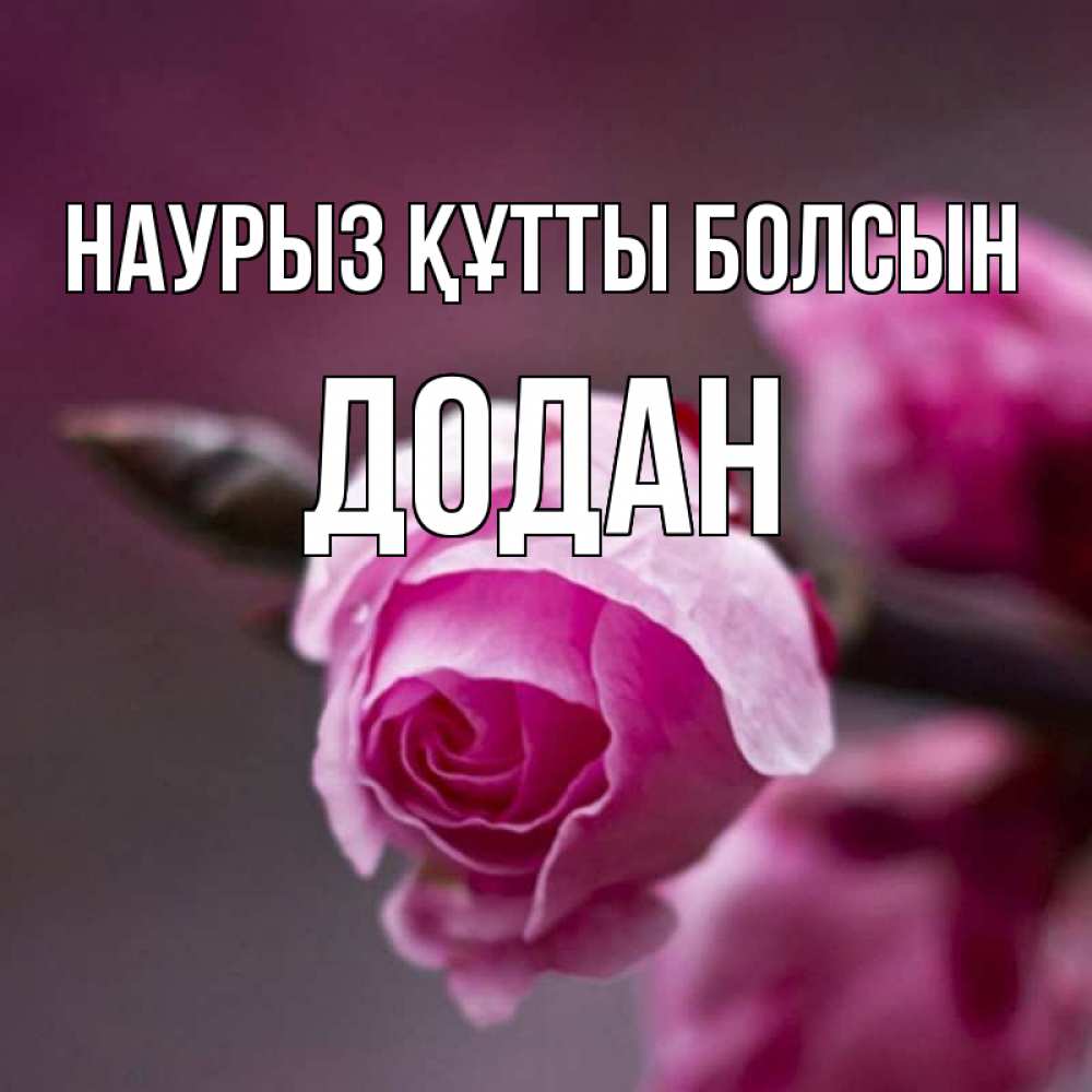 Күн сайын ашық хат с именем, Додан Наурыз құтты болсын весна Онлайн тегін жүктеп алу тілектері бар керемет карта 