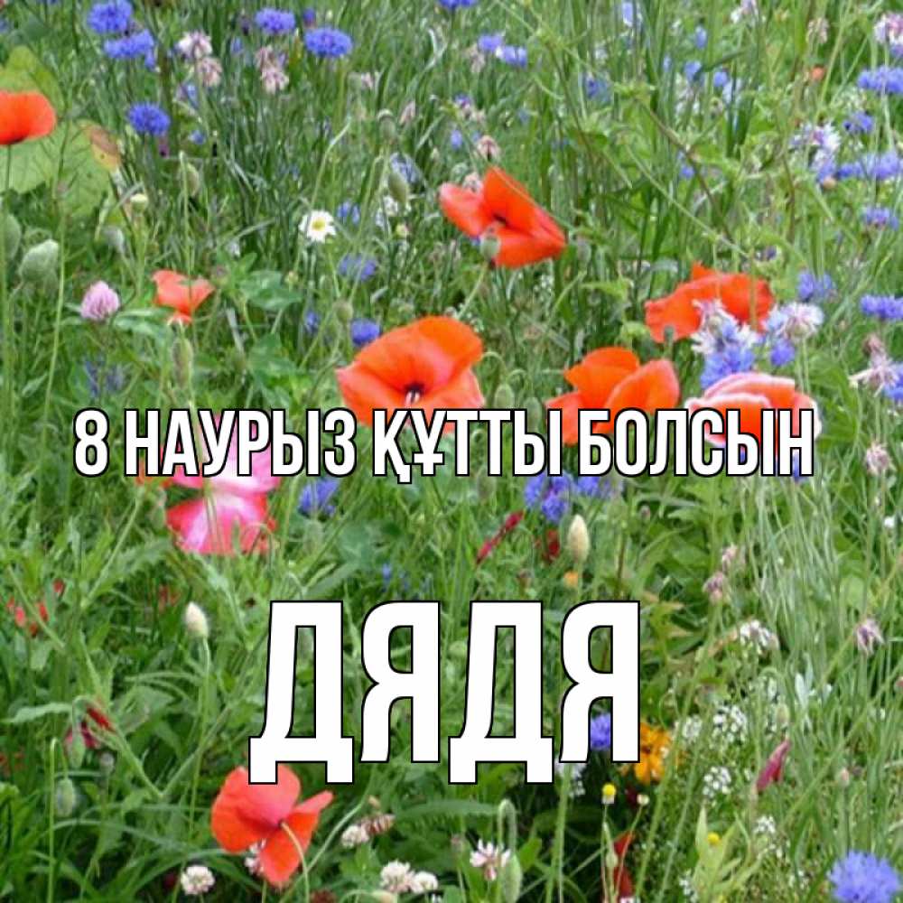 Күн сайын ашық хат с именем, Дядя 8 наурыз құтты болсын международный женский день 4 Онлайн тегін жүктеп алу тілектері бар керемет карта 
