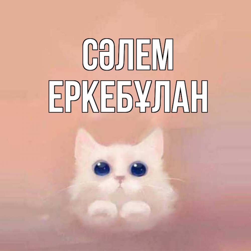 Күн сайын ашық хат с именем, Еркебұлан Сәлем котик белый в полете Онлайн тегін жүктеп алу тілектері бар керемет карта 