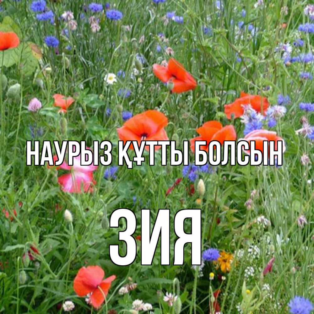 Күн сайын ашық хат с именем, ЗИЯ Наурыз құтты болсын наурыз  4 Онлайн тегін жүктеп алу тілектері бар керемет карта 