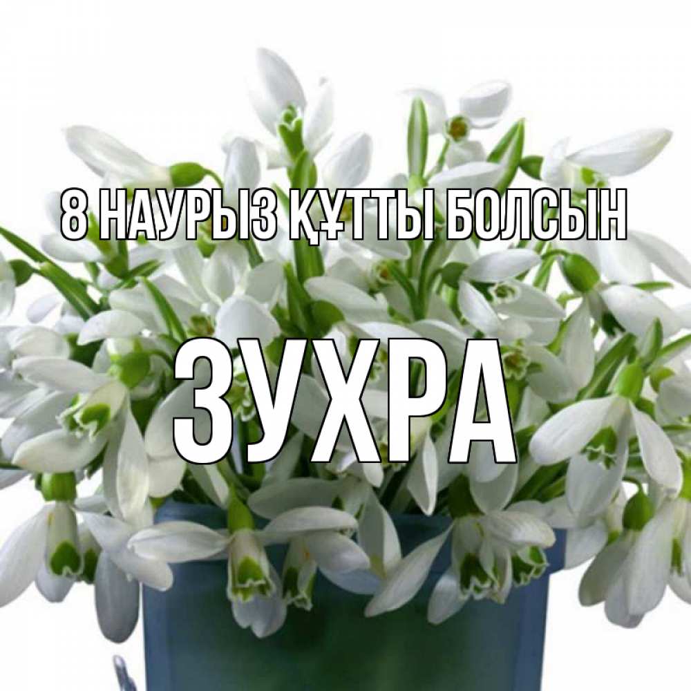 Күн сайын ашық хат с именем, Зухра 8 наурыз құтты болсын цветы к международному женскому дню Онлайн тегін жүктеп алу тілектері бар керемет карта 