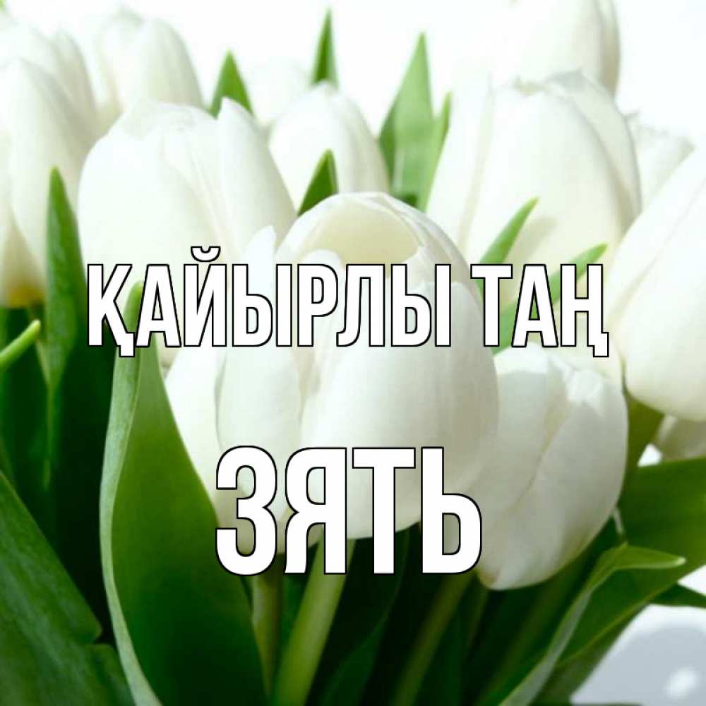 Күн сайын ашық хат с именем, Зять Қайырлы таң открытки на каждый день по именам Онлайн тегін жүктеп алу тілектері бар керемет карта 