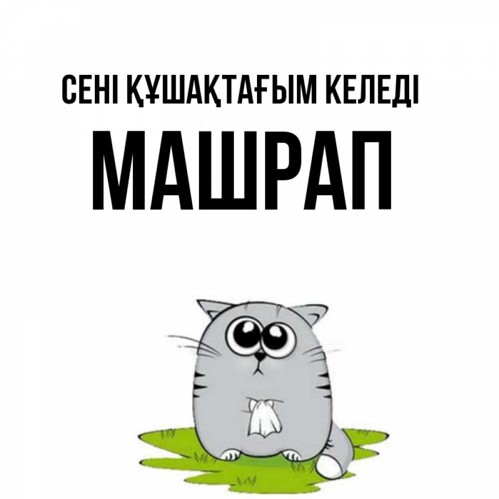 Күн сайын ашық хат с именем, МАШРАП сені құшақтағым келеді котик теребит платочек сидя на травке Онлайн тегін жүктеп алу тілектері бар керемет карта 