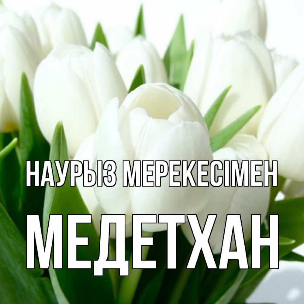 Күн сайын ашық хат с именем, МЕДЕТХАН Наурыз мерекесімен цветы Онлайн тегін жүктеп алу тілектері бар керемет карта 
