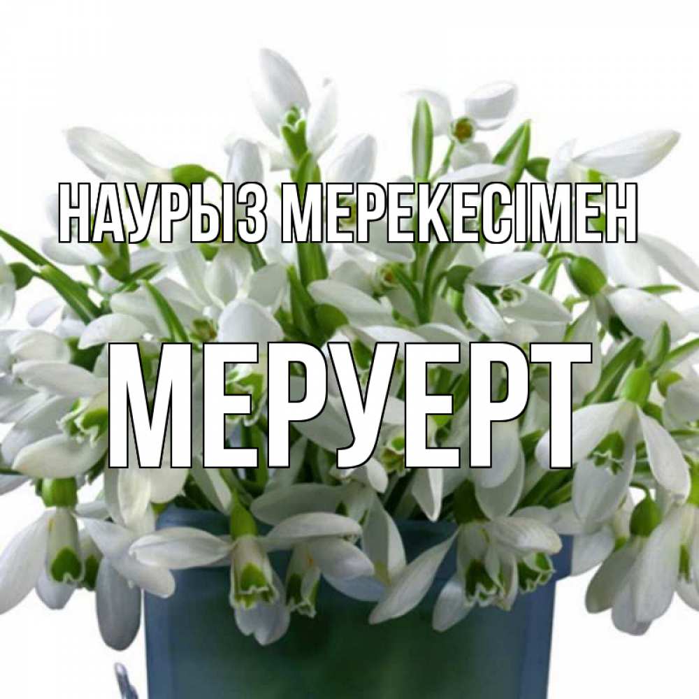 Күн сайын ашық хат с именем, МЕРУЕРТ Наурыз мерекесімен цветы к наурызу новый год в Казахстане Онлайн тегін жүктеп алу тілектері бар керемет карта 