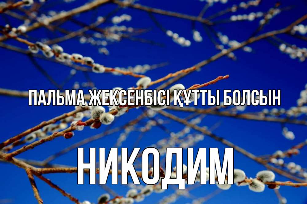 Күн сайын ашық хат с именем, Никодим Пальма жексенбісі құтты болсын верба Онлайн тегін жүктеп алу тілектері бар керемет карта 