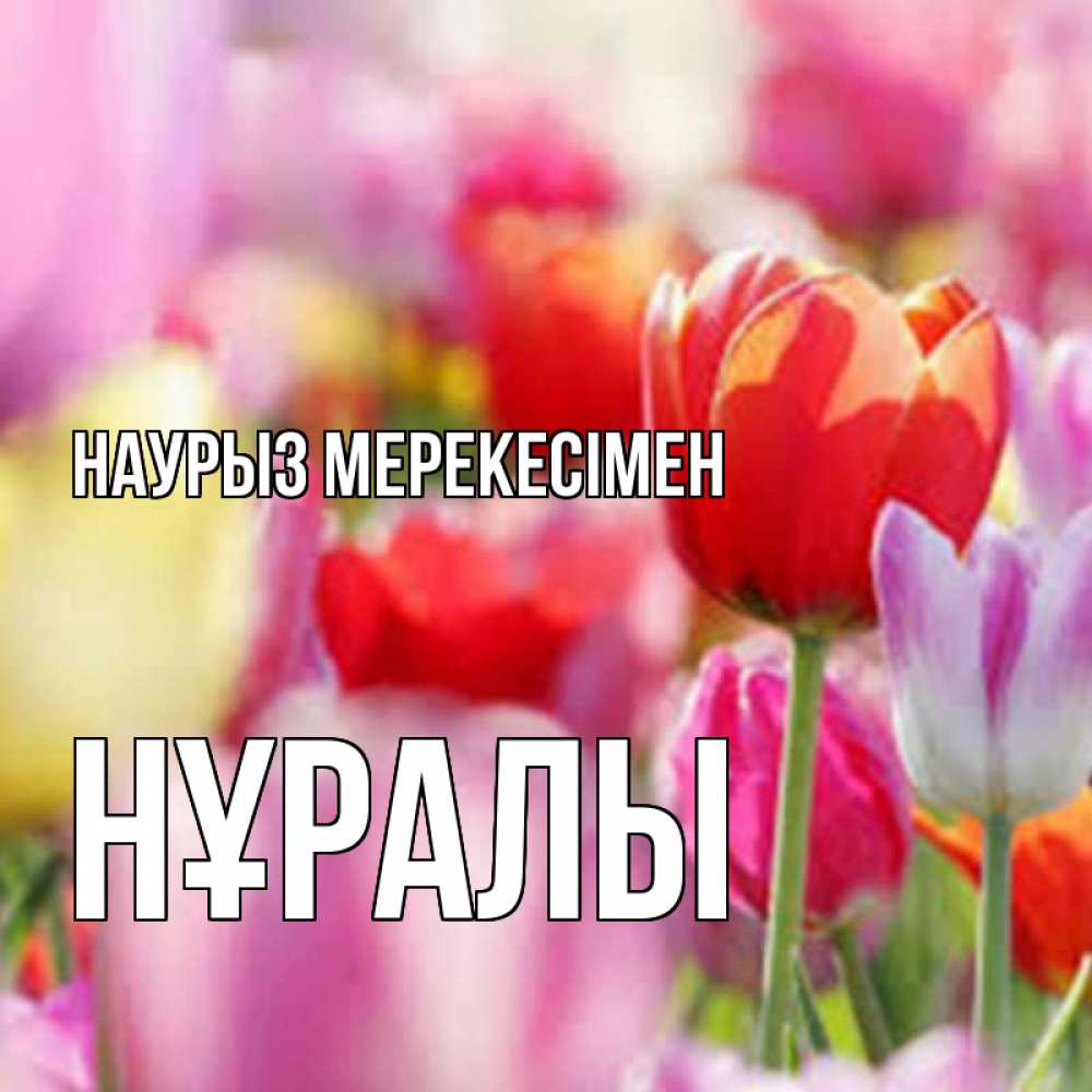 Күн сайын ашық хат с именем, НҰРАЛЫ Наурыз мерекесімен праздник весны наурыз 67 Онлайн тегін жүктеп алу тілектері бар керемет карта 