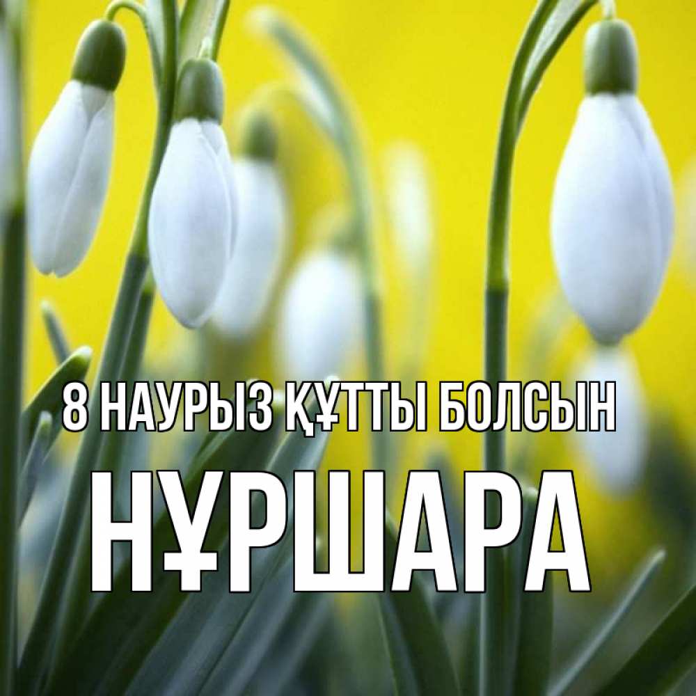 Күн сайын ашық хат с именем, НҰРШАРА 8 наурыз құтты болсын весенние цветы Онлайн тегін жүктеп алу тілектері бар керемет карта 