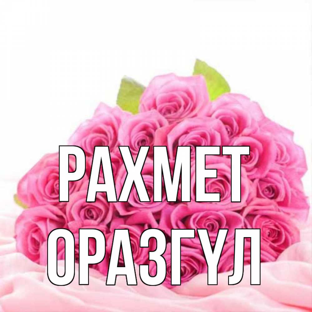 Күн сайын ашық хат с именем, ОРАЗГҮЛ рахмет розовые розы с подписью Онлайн тегін жүктеп алу тілектері бар керемет карта 