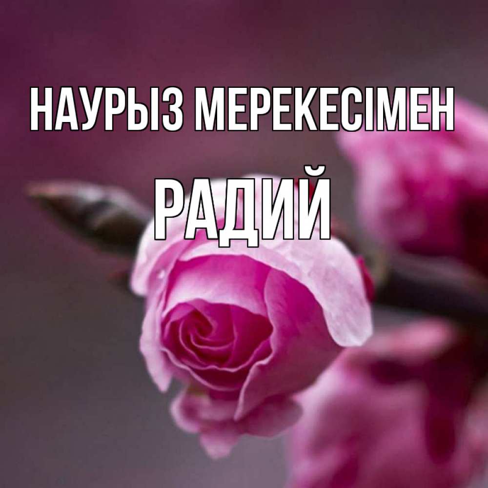Күн сайын ашық хат с именем, Радий Наурыз мерекесімен весна Онлайн тегін жүктеп алу тілектері бар керемет карта 