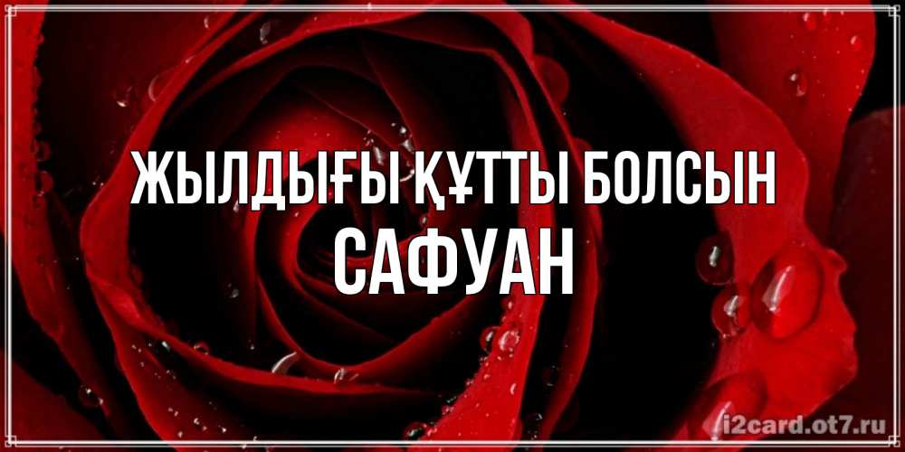Күн сайын ашық хат с именем, САФУАН Жылдығы құтты болсын крупная бордовая роза Онлайн тегін жүктеп алу тілектері бар керемет карта 