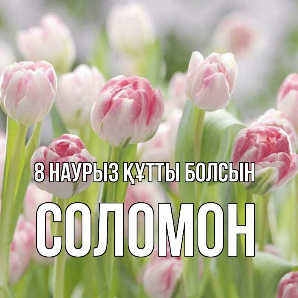 Күн сайын ашық хат с именем, Соломон 8 наурыз құтты болсын цветы Онлайн тегін жүктеп алу тілектері бар керемет карта 