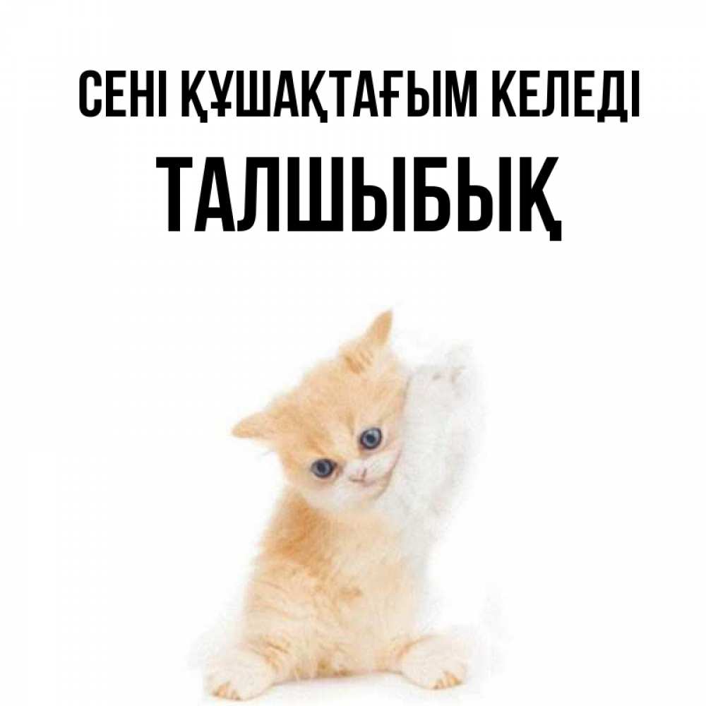 Күн сайын ашық хат с именем, ТАЛШЫБЫҚ сені құшақтағым келеді я хочу очень скорее обнимаешек Онлайн тегін жүктеп алу тілектері бар керемет карта 