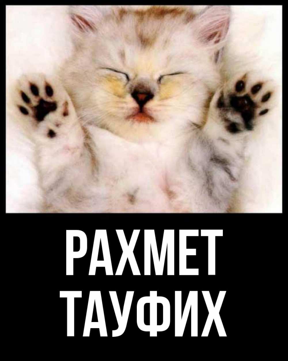 Күн сайын ашық хат с именем, ТАУФИХ рахмет маленький котенок Онлайн тегін жүктеп алу тілектері бар керемет карта 