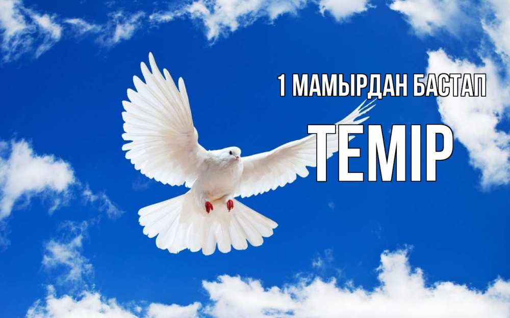 Күн сайын ашық хат с именем, ТЕМІР 1 мамырдан бастап С 1 мая 1 Онлайн тегін жүктеп алу тілектері бар керемет карта 