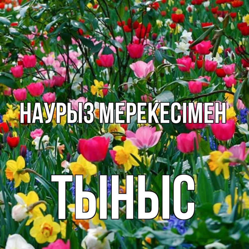 Күн сайын ашық хат с именем, ТЫНЫС Наурыз мерекесімен с наурызом праздником весны поздравления для женщины Онлайн тегін жүктеп алу тілектері бар керемет карта 