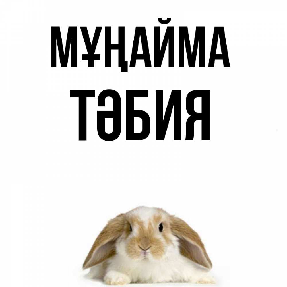 Күн сайын ашық хат с именем, ТӘБИЯ Мұңайма коричнево белый заяц с большими ушками Онлайн тегін жүктеп алу тілектері бар керемет карта 