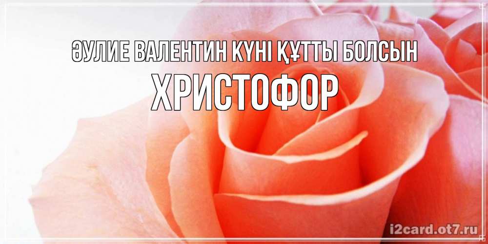 Күн сайын ашық хат с именем, Христофор Әулие Валентин күні құтты болсын открытка на день Святого Валентина с розовой розой Онлайн тегін жүктеп алу тілектері бар керемет карта 