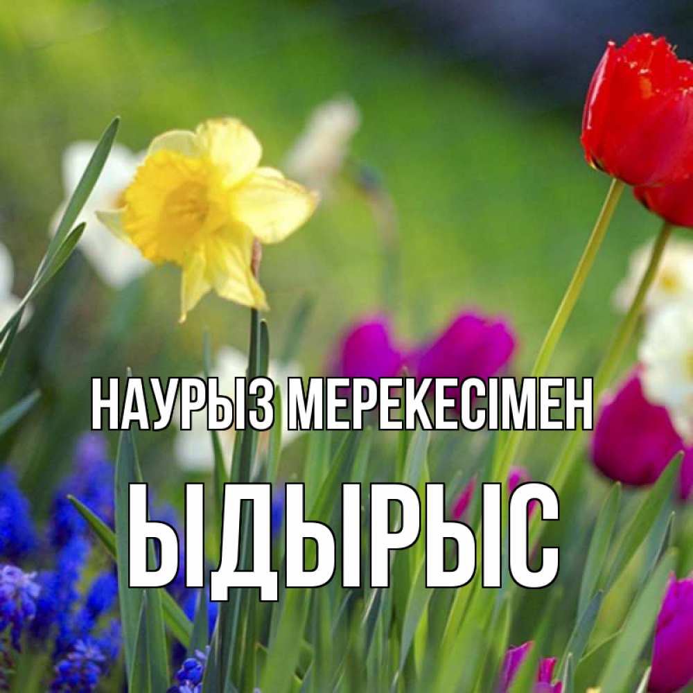 Күн сайын ашық хат с именем, ЫДЫРЫС Наурыз мерекесімен праздник весны наурыз 3 Онлайн тегін жүктеп алу тілектері бар керемет карта 