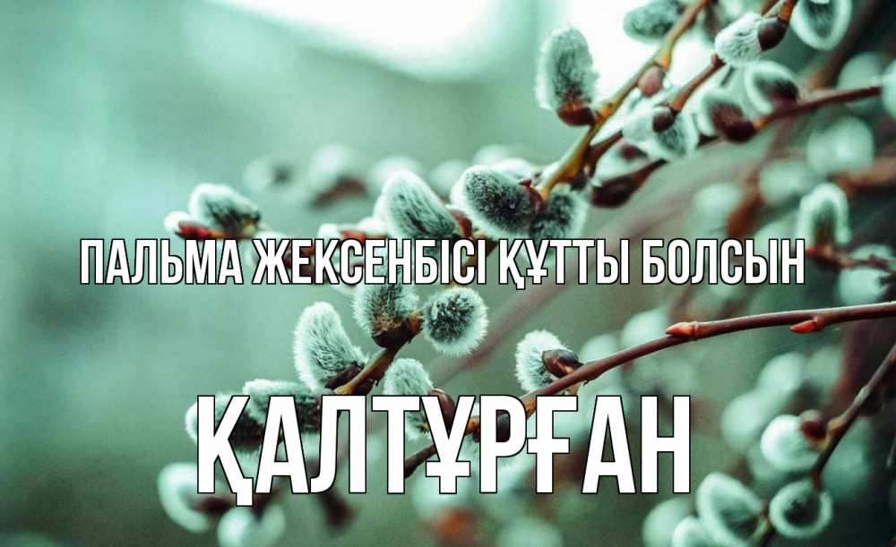 Күн сайын ашық хат с именем, ҚАЛТҰРҒАН Пальма жексенбісі құтты болсын верба Онлайн тегін жүктеп алу тілектері бар керемет карта 