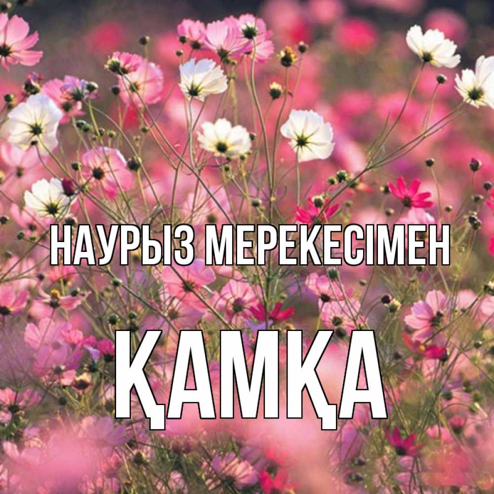 Күн сайын ашық хат с именем, ҚАМҚА Наурыз мерекесімен красиво 1 Онлайн тегін жүктеп алу тілектері бар керемет карта 